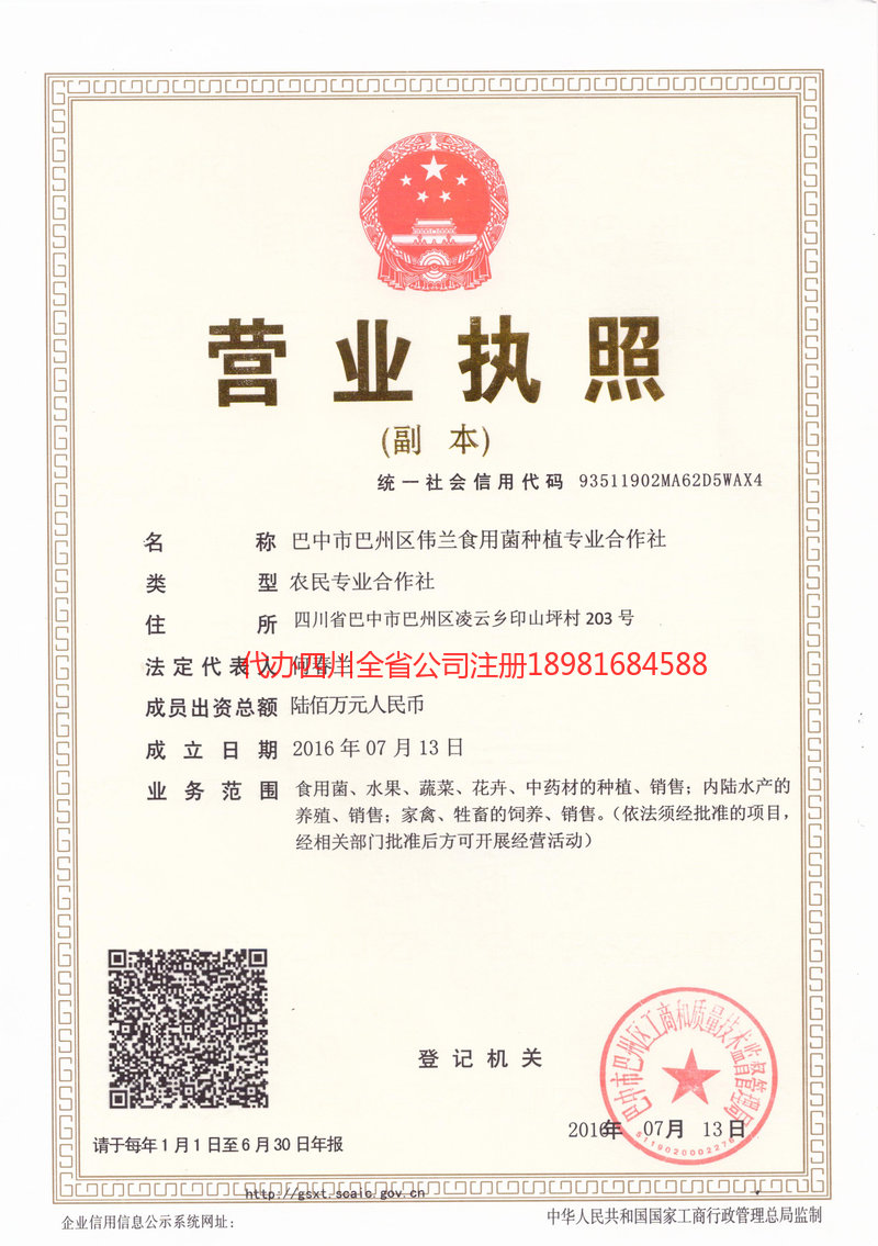 新民新民伟兰食用菌种植专业合作社